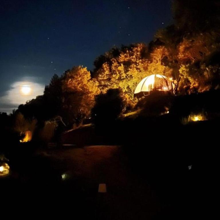 Palom'bolla - Tent - 12