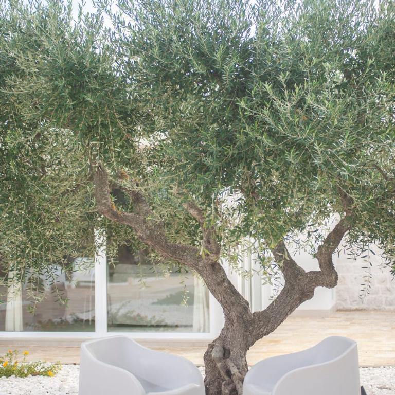 Vita Pugliese Holiday house - Casa con 2 Camere da Letto - 48