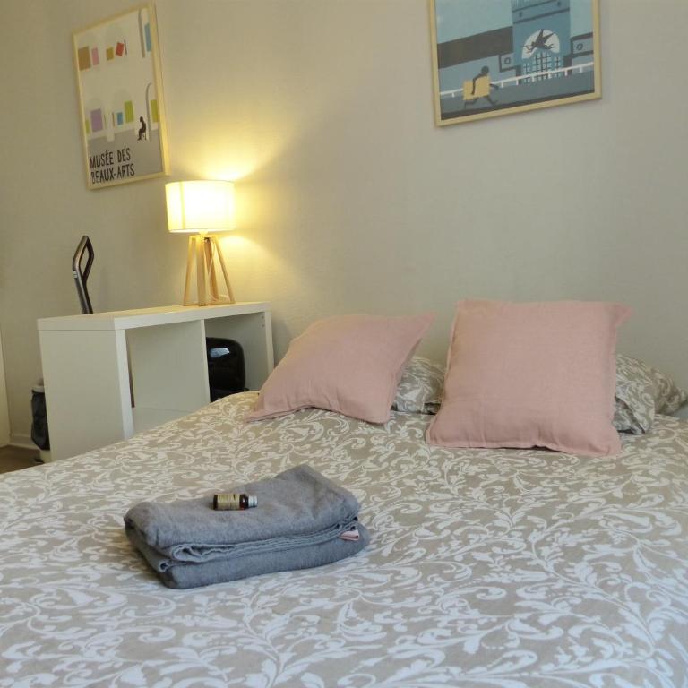 Bonnefoy - Studio centre ville - Appartement 1 Chambre - 2