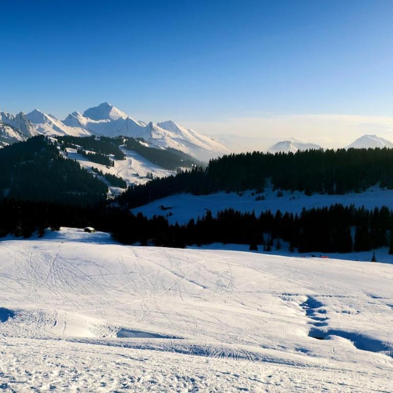 Logement 3 étoiles avec vue imprenable sur les montagnes, ski bus - Appartement 1 Chambre - 5