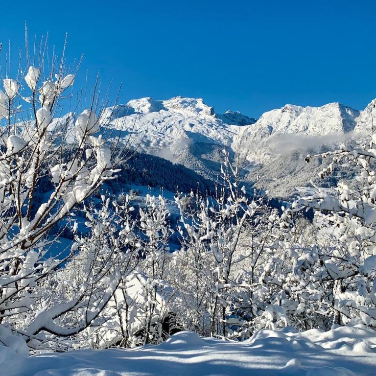 Logement 3 étoiles avec vue imprenable sur les montagnes, ski bus - Appartement 1 Chambre - 21