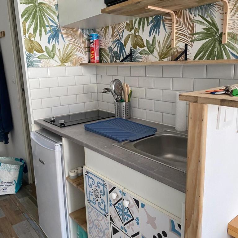 Appartements parfaits pour Cures Thermales, au bord de l’Etang de Thau - Appartamento con 1 Camera da Letto - 5