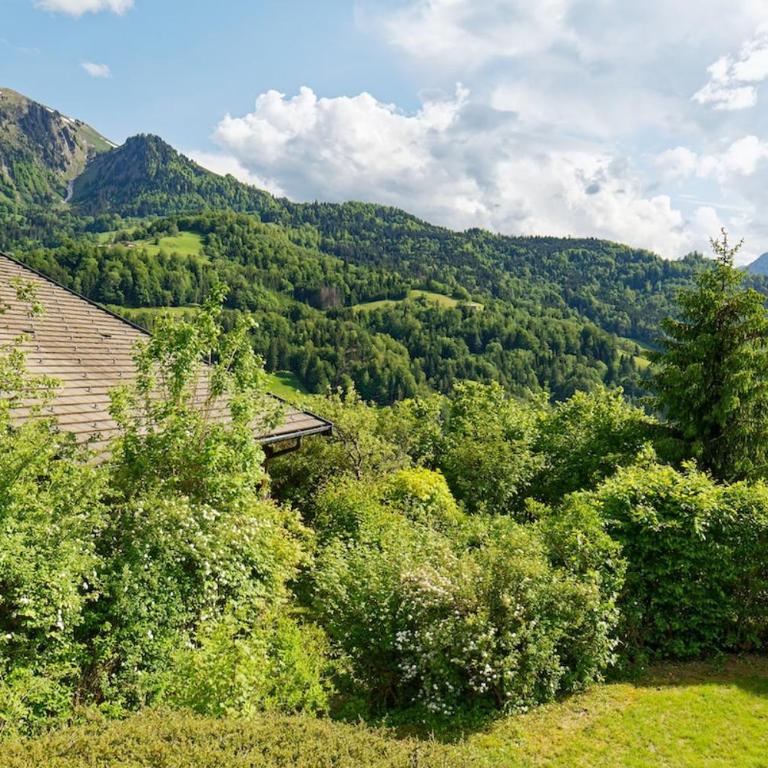 Logement 3 étoiles avec vue imprenable sur les montagnes, ski bus - Appartement 1 Chambre - 34