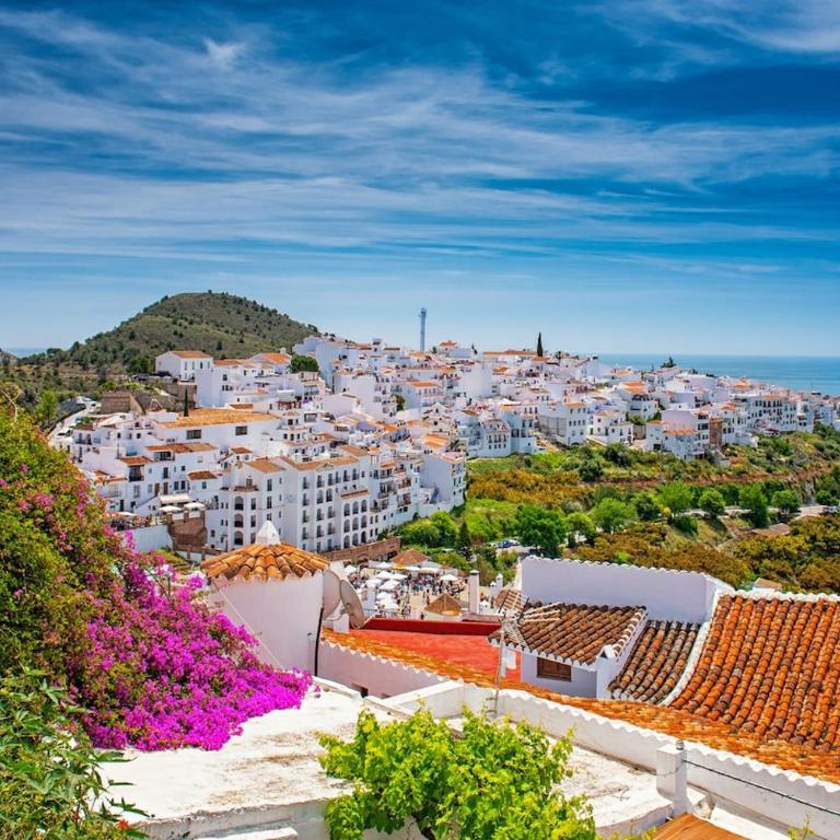 Apartamento Frigiliana Sol y montaña - Apartamento de 1 dormitorio - 17