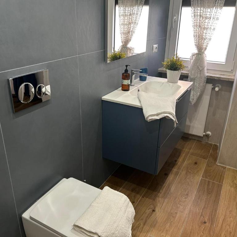 Vatican Domus Pio VIII - Appartamento con 2 Camere da Letto - 65