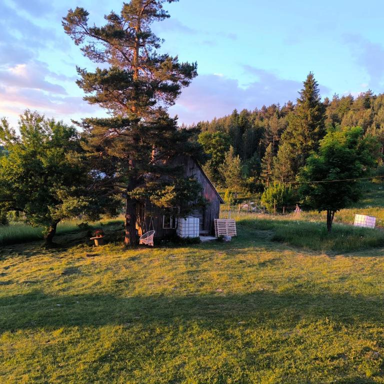 Vukov Konak - Wolf's lodge - Dvokrevetna Soba sa Bračnim Krevetom - 39