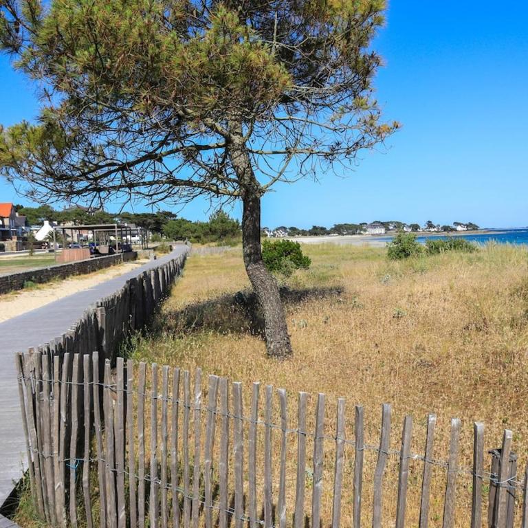 Appartement proche de la plage Carnac - Appartement 1 Chambre - 12
