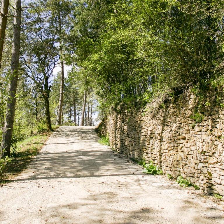 Résidence Au pré de l'arbre - Maison Les Pins - 7