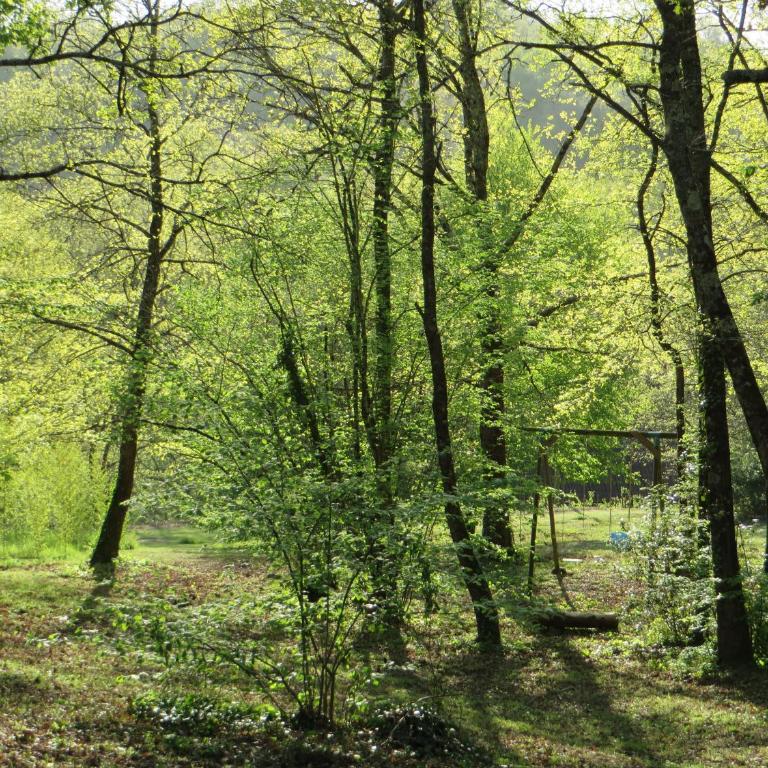 Résidence Au pré de l'arbre - Maison Les Pins - 25