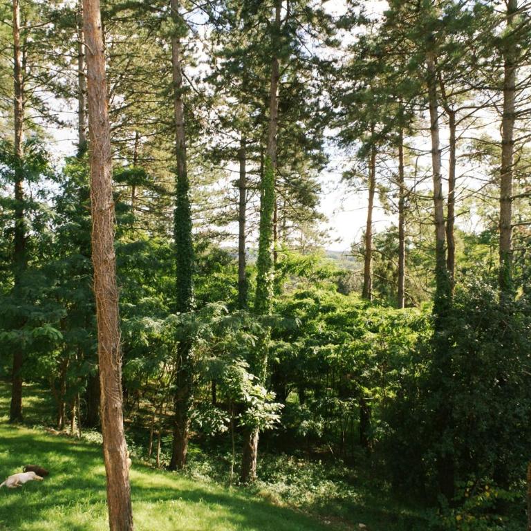 Résidence Au pré de l'arbre - Maison Les Ormes - 28
