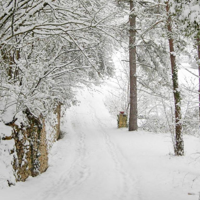 Résidence Au pré de l'arbre - Maison Les Pins - 27