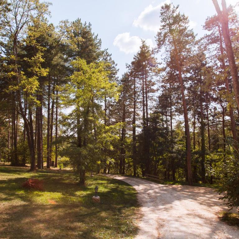 Résidence Au pré de l'arbre - Maison Les Pins - 28
