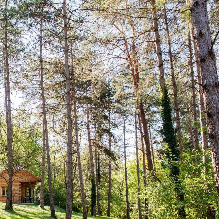 Résidence Au pré de l'arbre - Maison Les Acacias - 30