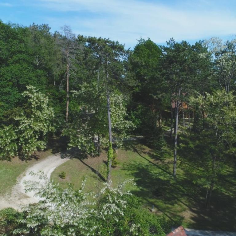 Résidence Au pré de l'arbre - Maison Les Tilleuls - 30