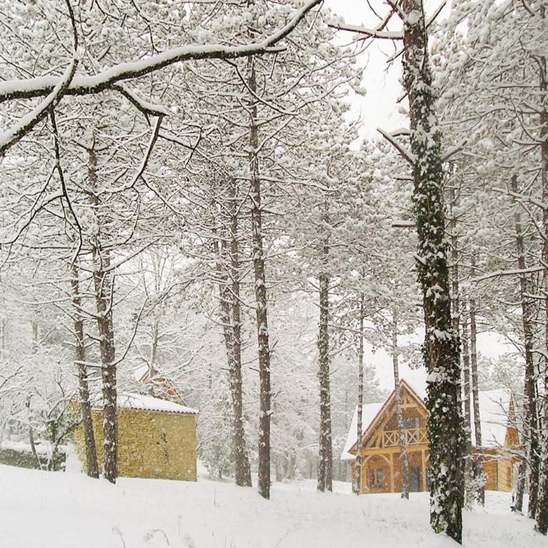 Résidence Au pré de l'arbre - Maison Les Chênes - 5