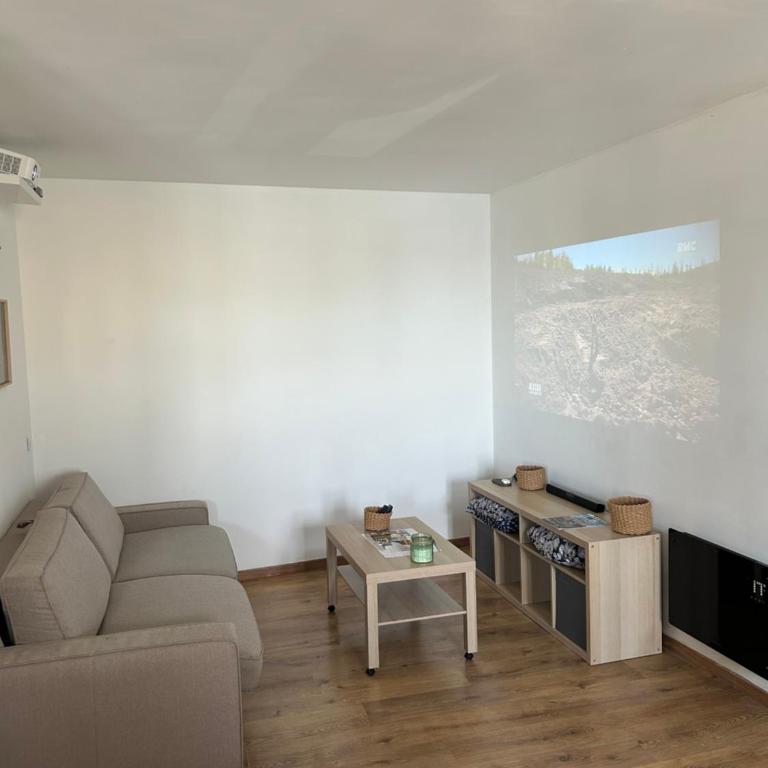 La Vue du Rhône - Appartement 1 Chambre - 8