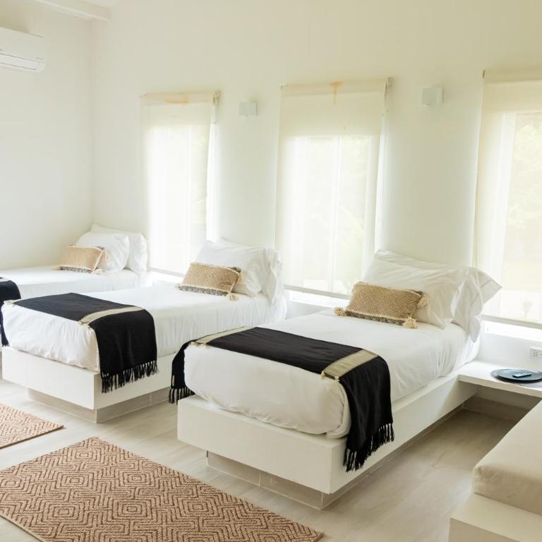 Selva Serena - Suite Estándar - 4