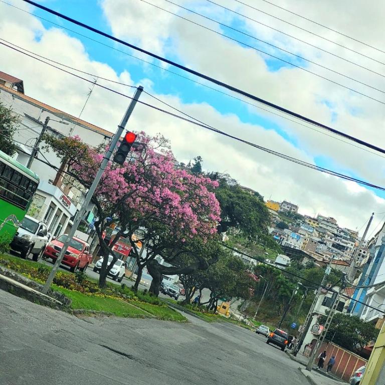 Executive Suite OF201 XL - One-Bedroom Apartment - 22