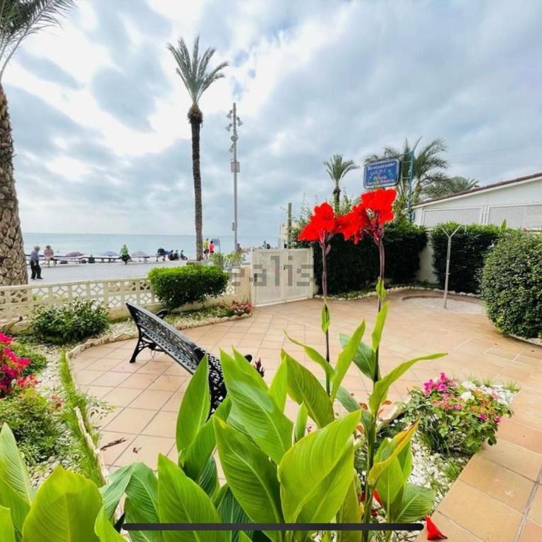 Blue house 1ª linea playa - Three-Bedroom Apartment - 3