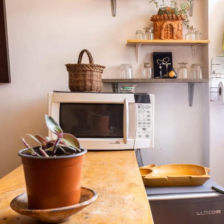 Quinta Jardín - Apartamento de 1 dormitorio - 6