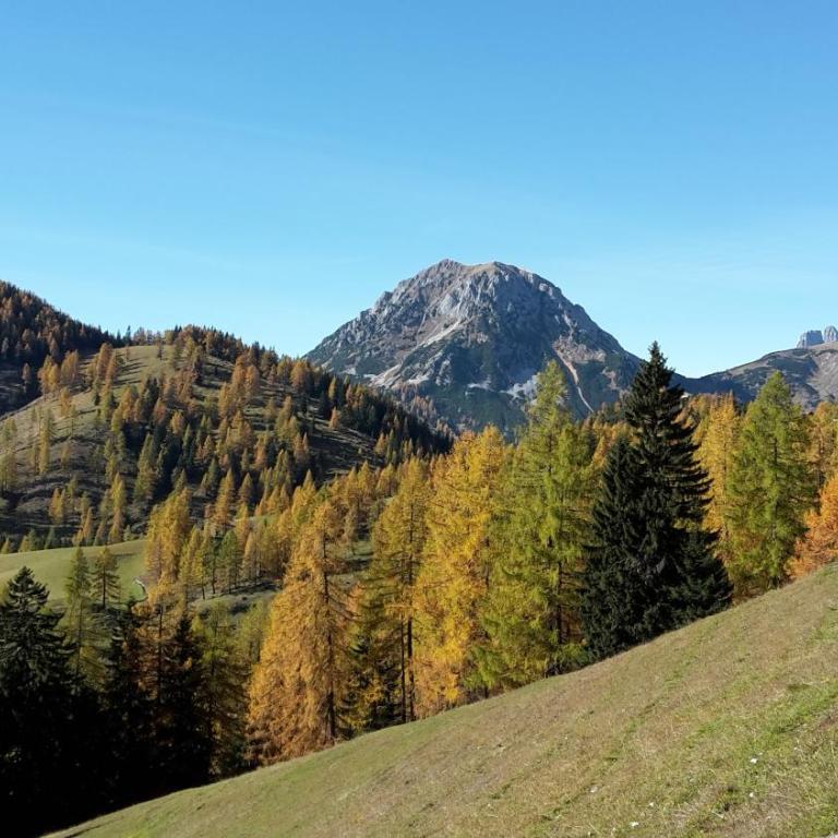 Ferienhaus Abendstille - Chalet mit Balkon - 67