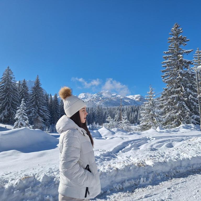 Apartman A&J 2 - Apartman sa 1 Spavaćom Sobom - 38