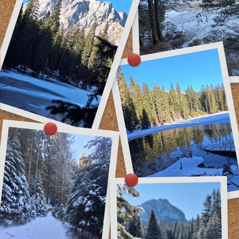 Apartman A&J 2 - One-Bedroom Apartment - 26