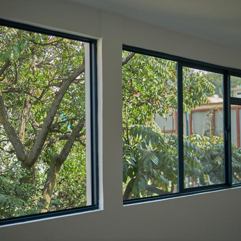Apartamento nuevo con vistas a jardín cerca de Coyoacán - One-Bedroom Apartment - 8