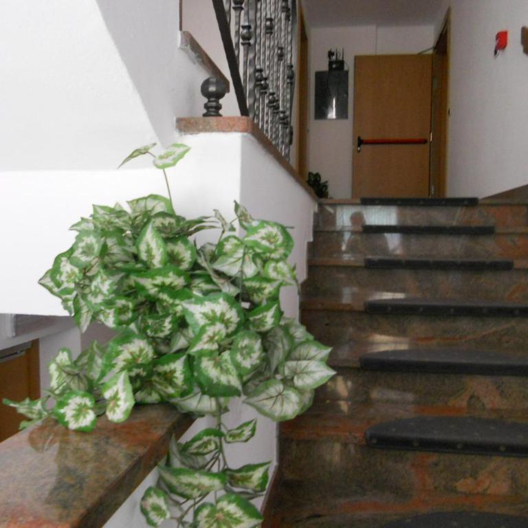 Residence Garni Manuela - Appartamento con 1 Camera da Letto - 19
