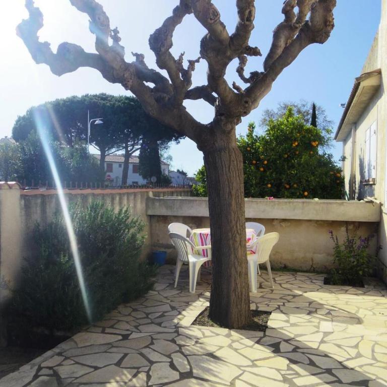 Résidence Ccamt38-aigues Mortes - Appart coeur Camargue avec Spa Aigues mortes T2 ADULTE Seulement MAE-5361 - Appartement - 1