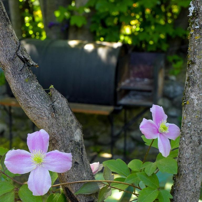 Espacio - Casa de 2 dormitorios - 17