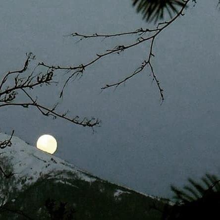 Espacio - Casa de 2 dormitorios - 29