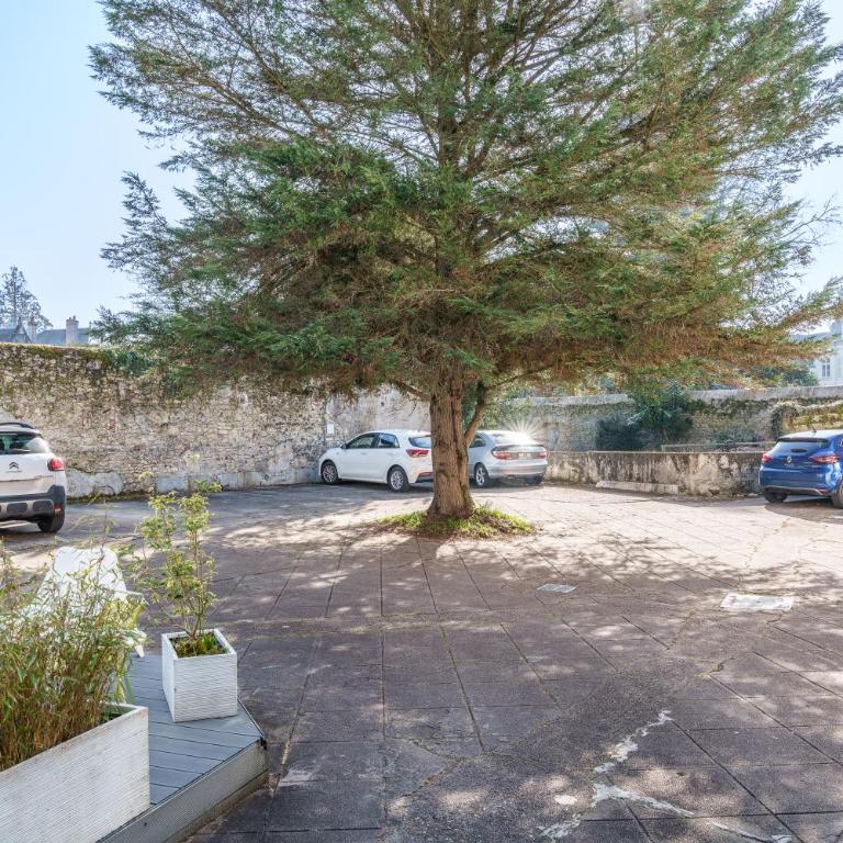 Maison 5 p hyper centre Amboise #parking #terrasse - Vacation Home - 38