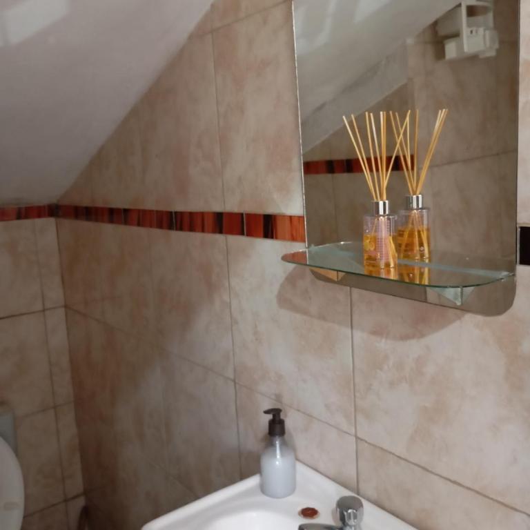 Loloh - Apartamento de 1 dormitorio - 1