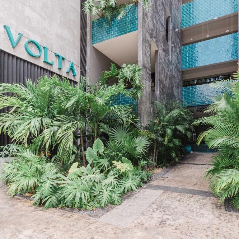 Studio in Volta on 5th & 5min away to sea - King Studio - 28