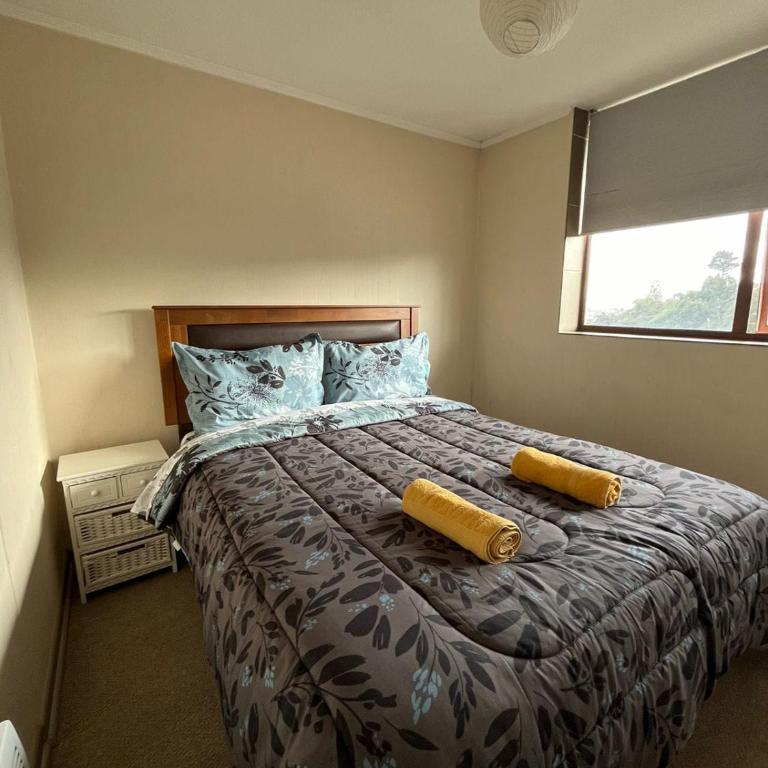 Depto completo un dormitorio concepción - Apartamento de 1 dormitorio - 1