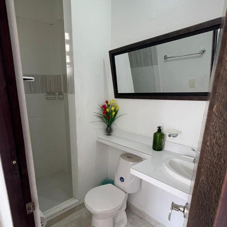 CASARENA, casa y apartamentos campestres en el llano - Casa de 7 dormitorios - 28