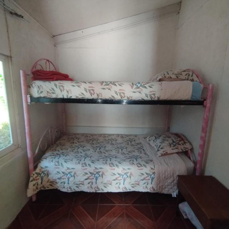 Flor Austral - Two-Room Apartment - 2