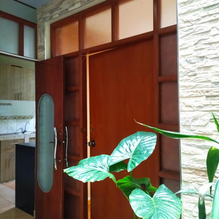 Alojamiento Místico - Apartamento de 1 dormitorio - 12