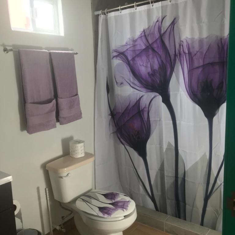 loft rosy - Apartamento de 1 dormitorio - 3