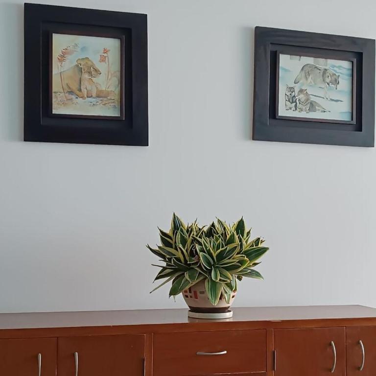 Apartamento en Los Morros - Cartagena de Indias - Apartamento - 62