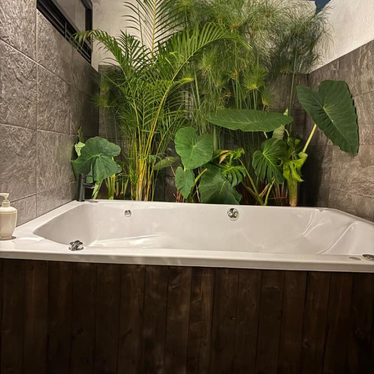 Casa en reserva natural cerca del aeropuerto Medellín Rionegro - Casa de 3 dormitorios - 17