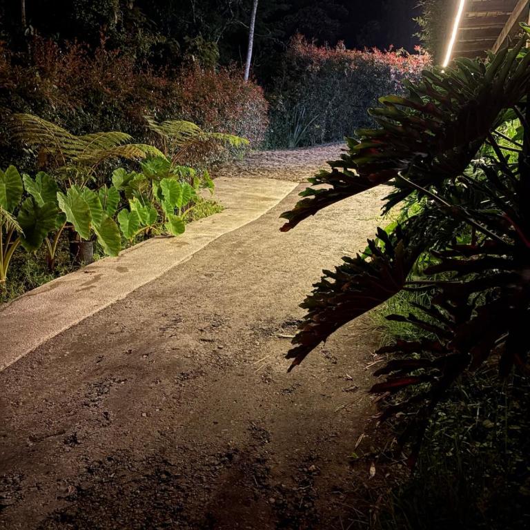 Casa en reserva natural cerca del aeropuerto Medellín Rionegro - Three-Bedroom House - 15