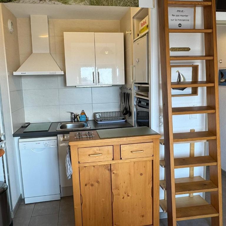 Appartement 2 pièces accès direct plage, animaux acceptés, Wifi - FR-1-487-378 - Apartment - 8
