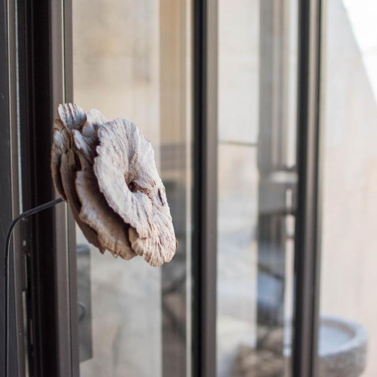 Loft Toro - Premium, Clim et Terrasse - Two-Bedroom Apartment - 13