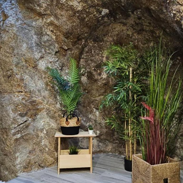 El susurro del tajo La gruta - Apartamento de 1 dormitorio - 8