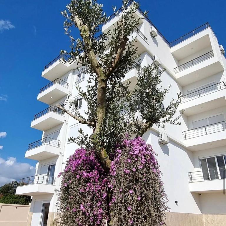 Apartment Complex with Pool in Bar, Montenegro - Apartment with Balcony - 4
