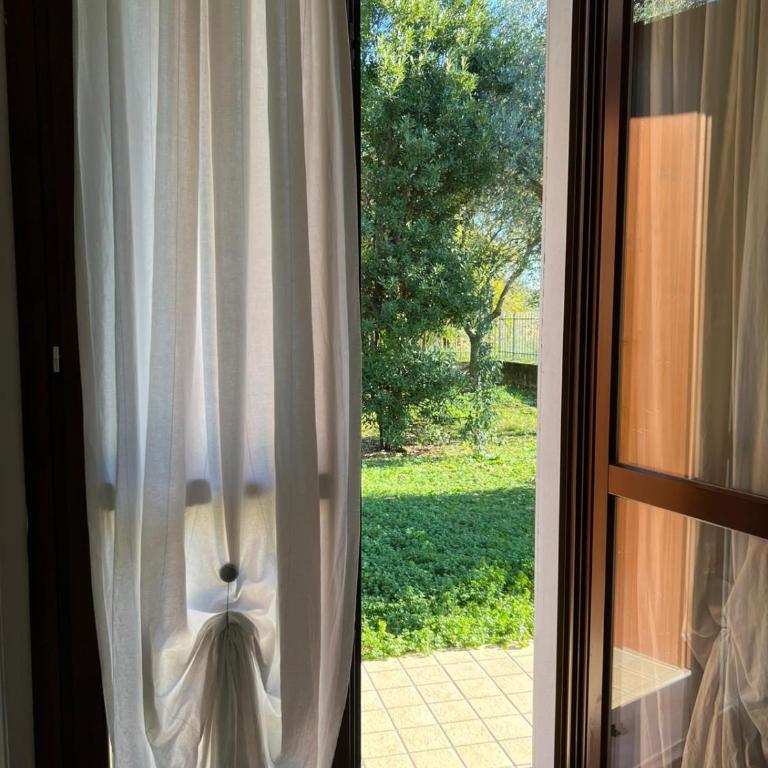 Il Giardino Degli Ulivi - Appartamento - Piano Terra - 18