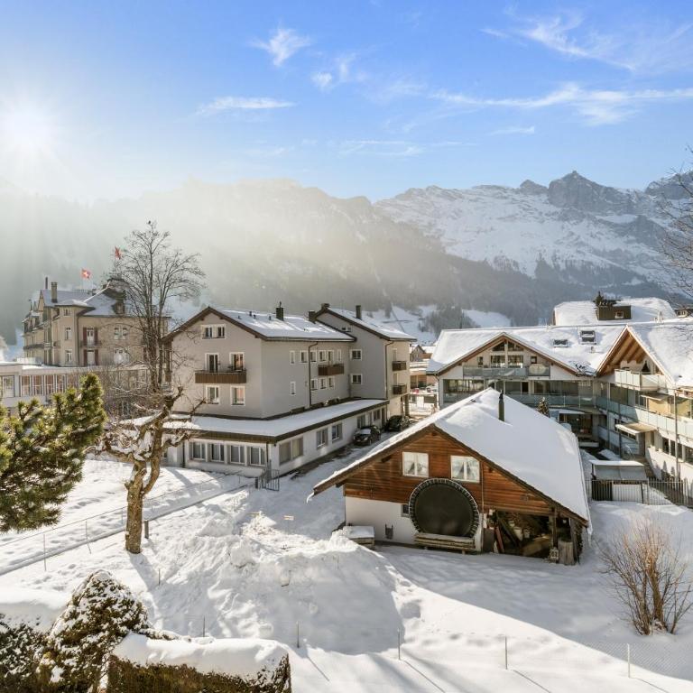 Zentrales Studio mit mega Bergblick, Titlis, Luzern, Lake, Kurpark - Appartamento con 1 Camera da Letto - 8