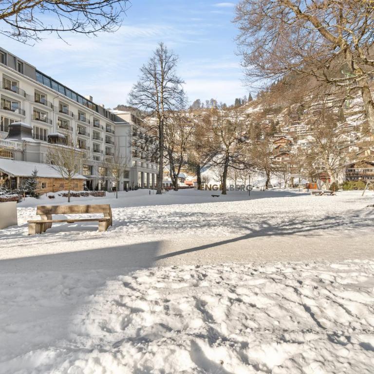 Zentrales Studio mit mega Bergblick, Titlis, Luzern, Lake, Kurpark - Appartamento con 1 Camera da Letto - 17